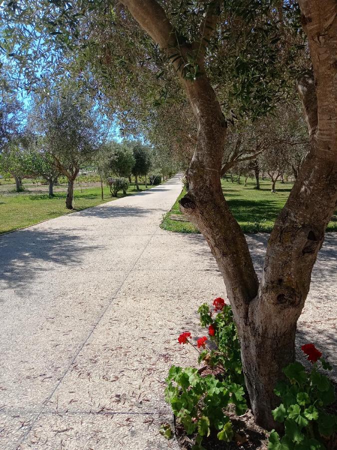 Il Poggetto Marzamemi B&B Exterior photo