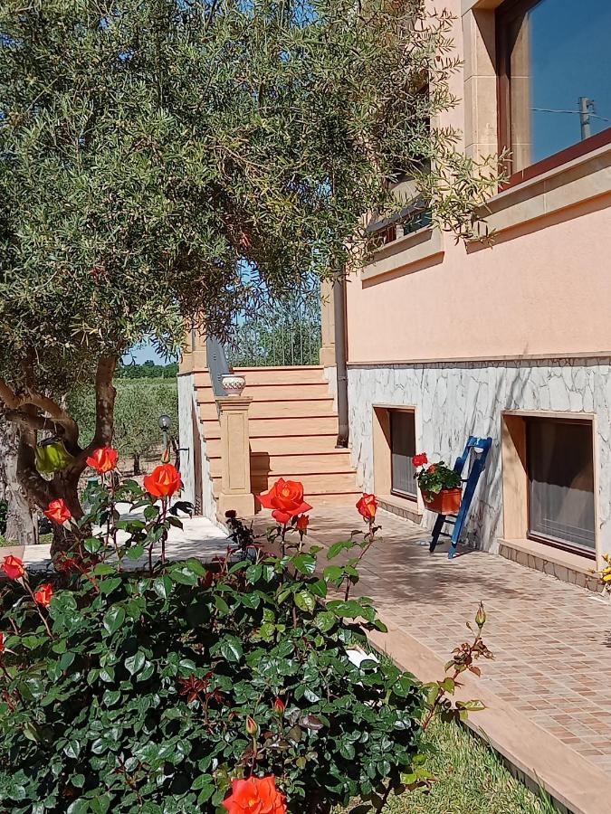 Il Poggetto Marzamemi B&B Exterior photo